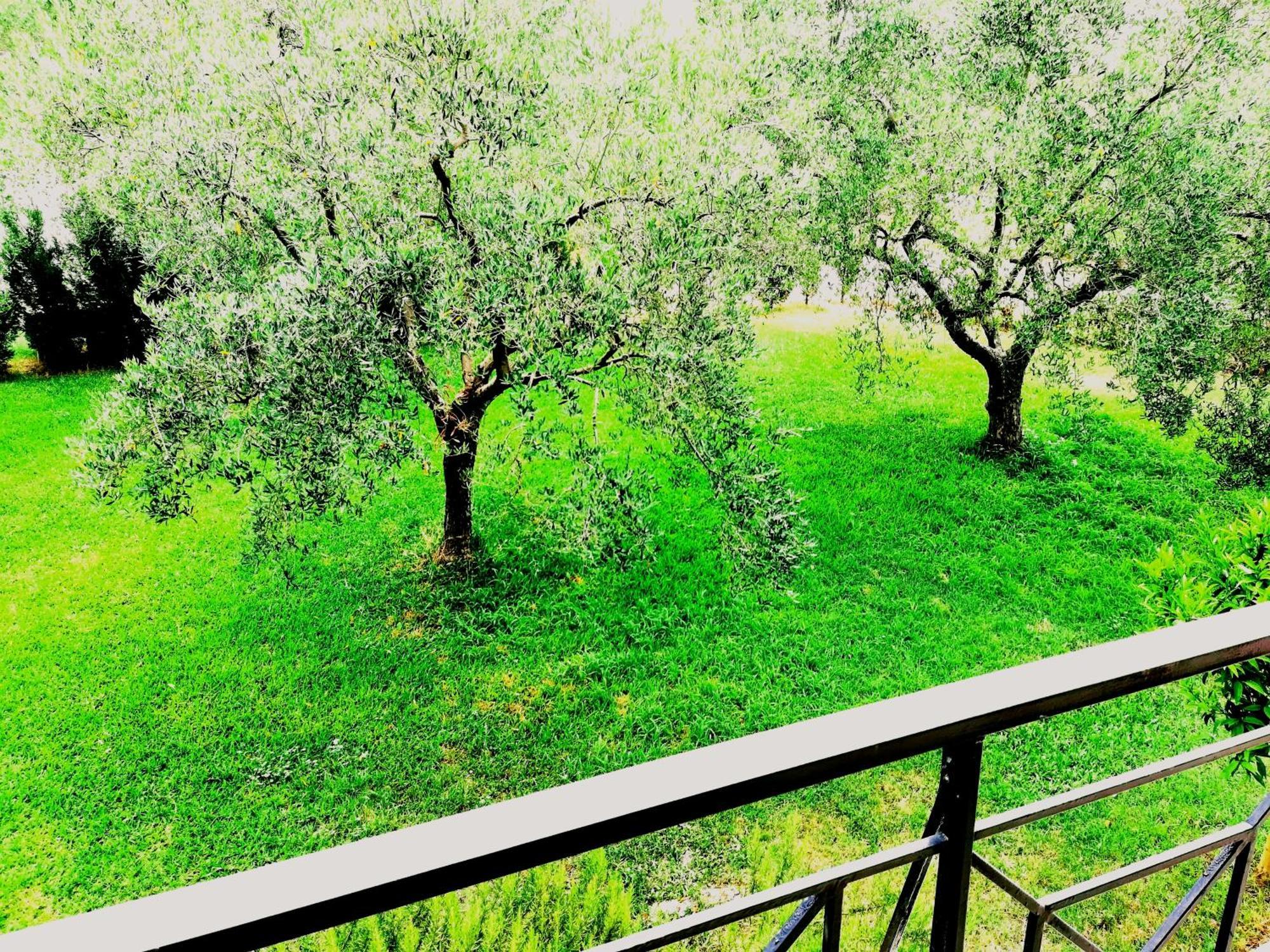 Giorgos Apartments สกาลา ฟูร์กาส ภายนอก รูปภาพ